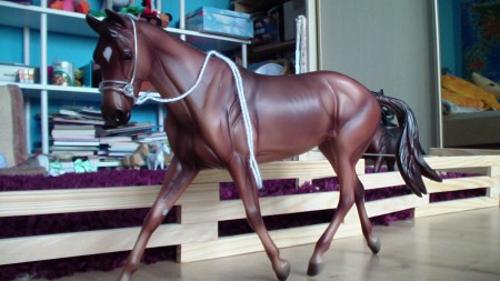 Je to krásna kobylka ktorú som nazvala Monika. Je celkom počúvna ale niekedy je dosť tvrdohlavá. Starám sa o ňu čo najlepšie :)